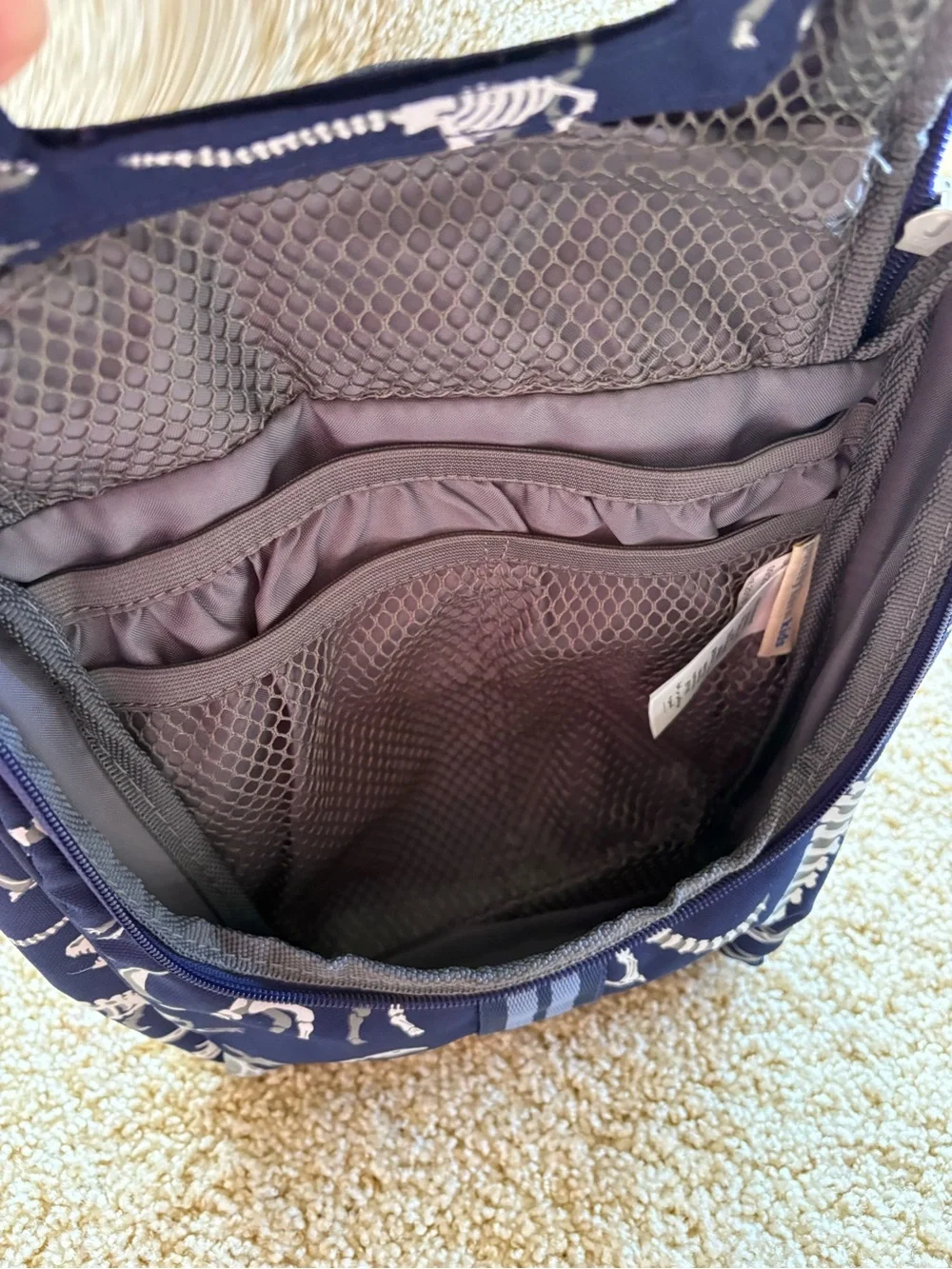Pottery Barn Kids GLOW IN THE DARK Dino Dinosaur Toiletry Bag Luggage Sleepover